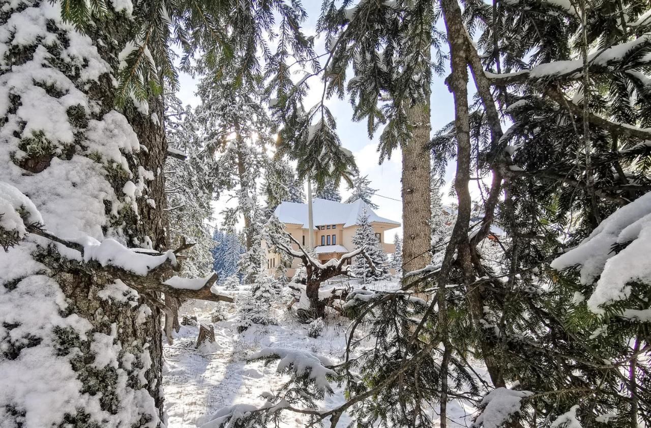 Апартаменты Apartmani Bijelic Жабляк-20