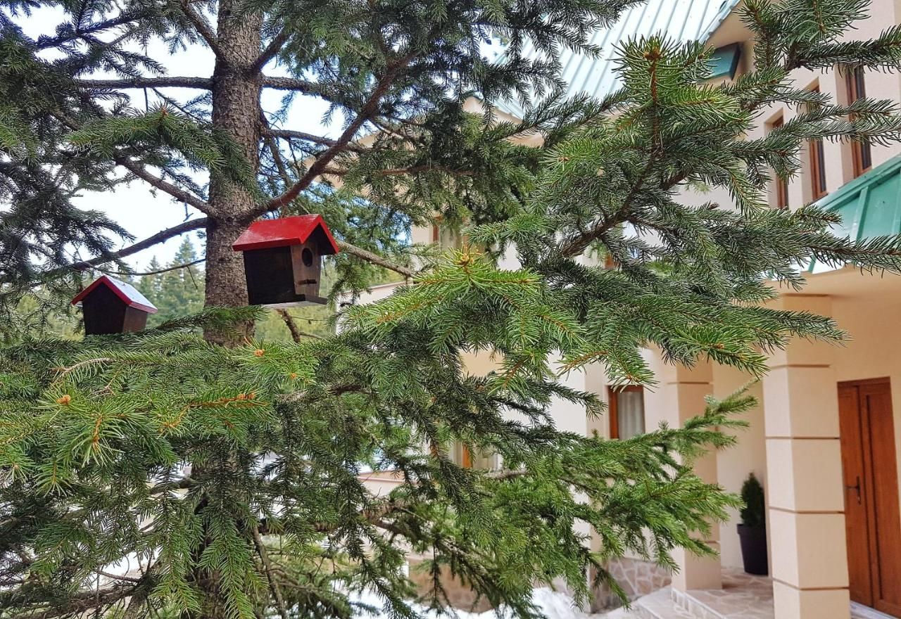 Апартаменты Apartmani Bijelic Жабляк-11