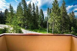 Апартаменты Apartmani Bijelic Жабляк Апартаменты с террасой-21