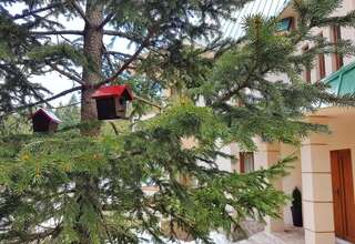 Апартаменты Apartmani Bijelic Жабляк-7