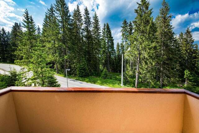 Апартаменты Apartmani Bijelic Жабляк-12