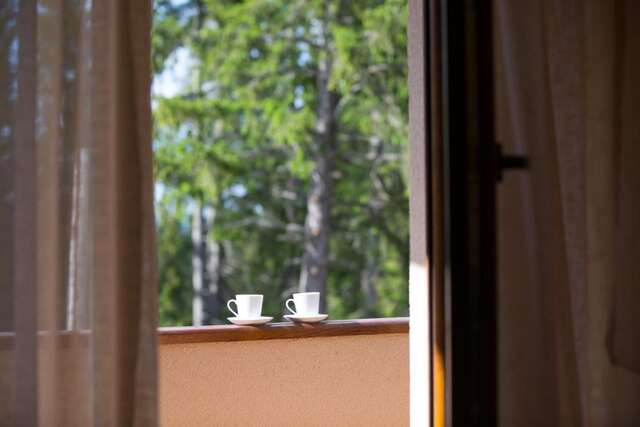 Апартаменты Apartmani Bijelic Жабляк-13