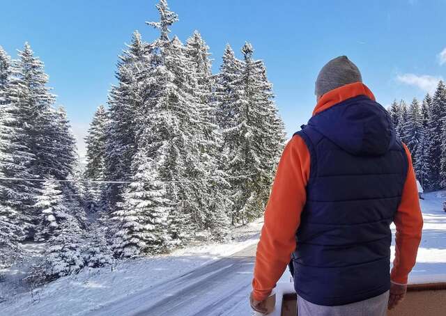 Апартаменты Apartmani Bijelic Жабляк-22