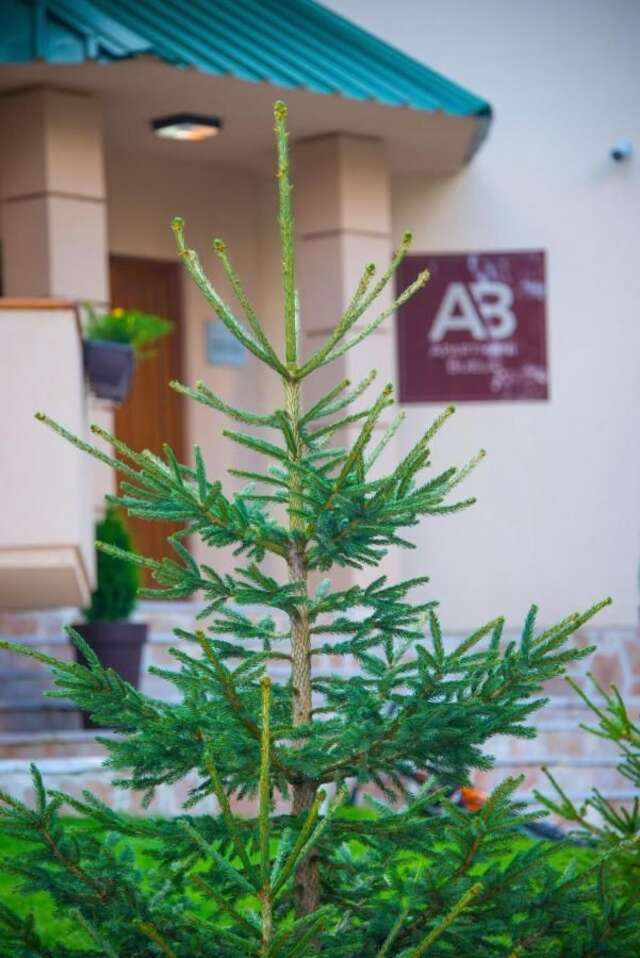 Апартаменты Apartmani Bijelic Жабляк-25